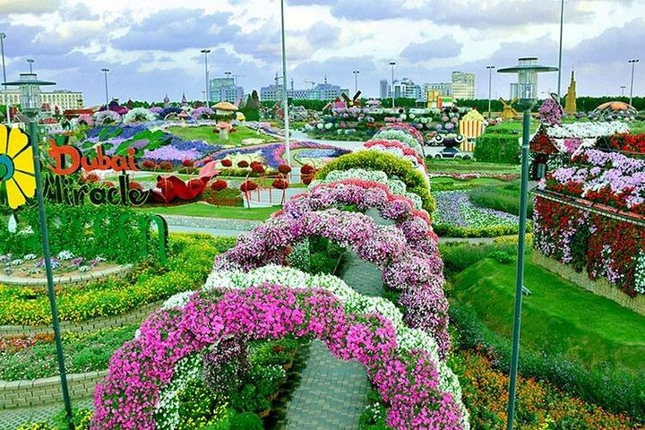 Dubai Miracle Garden